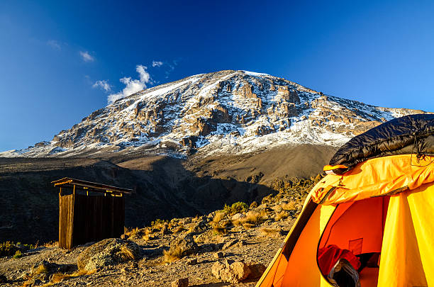 7-Day Lemosho Route Kilimanjaro Group Climb Package